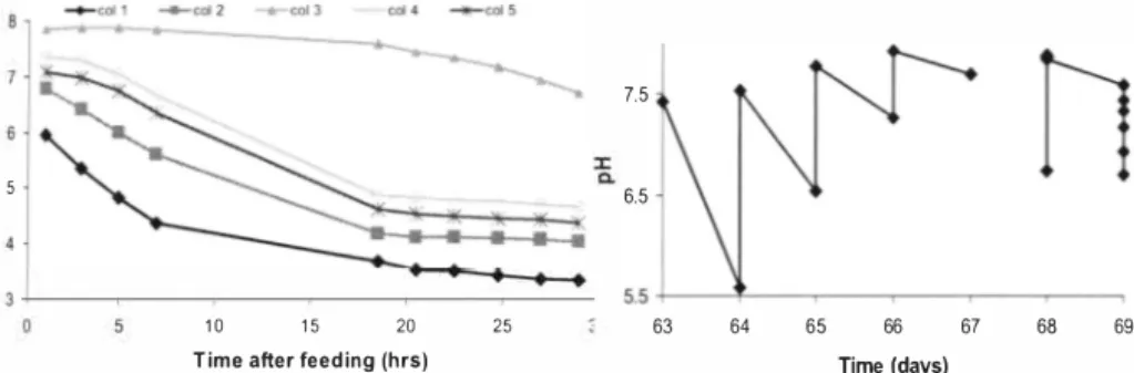Figure  5a  and  Figure  5b  show the variation of NH4-N and N0 3 -N concentrations  (in mg/L)  respectively in reactor columns during a single  feeding cycle  (days 33 - 34),  Greater than  75%  conversion  of  ammonical  nitrogen to  nitrate  nitrogen  i