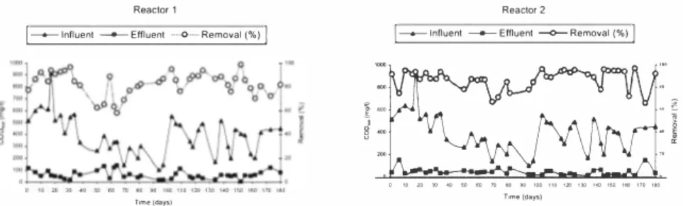 Figure 4.  CODd;s influent and effluent concentrations for Rf  (left) and R2 (right), 