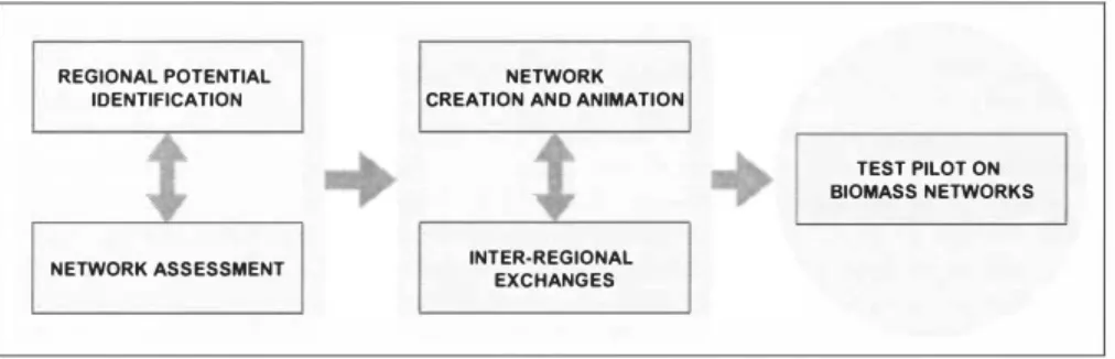 Figure 2.  NETTI network approach methodology, 