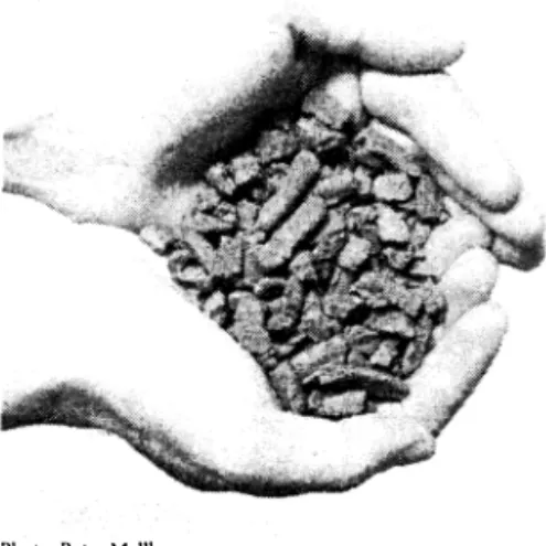 Figure 4. Pellets of ash and green liquor sludge. 