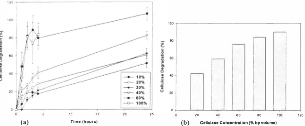 Figure 2.  Cellulose degradation by T. viride cellulase al dilutions of 50U/ml stock,  over 24  hours incubation; (a)  DNS assay,  (b) Residual cellulose by (weight)