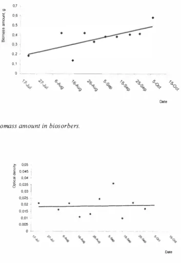 Figure  10.  Biomass amount in biosorbers. 