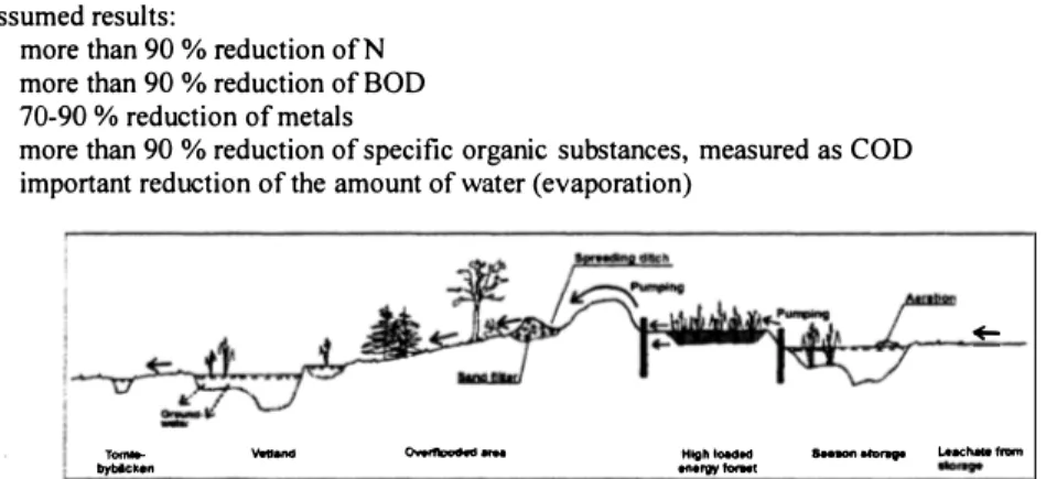 Figure 1. Full-scale constructed wetland 