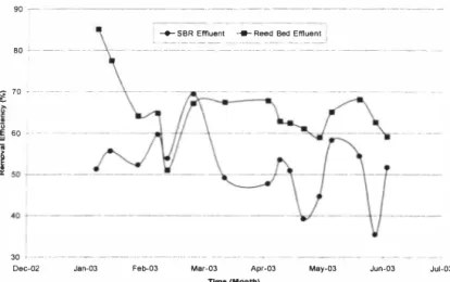 Figure 6.  COD removal efficiencies achieved at Efford during the six-month period from January  10 June 2003