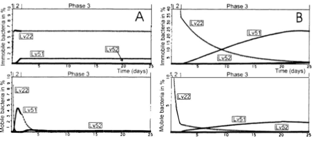 Figure 6: Evolution of mobile and immobile bacterial concentration with Rf 2 and Tv 0