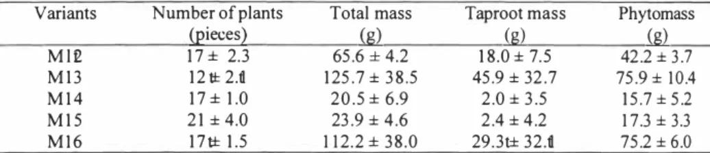 Table 4. Plant mass production 