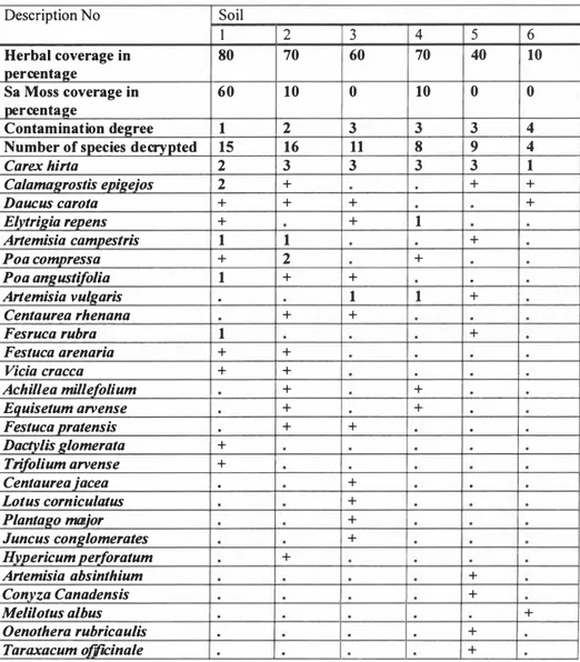 Table  2.  Specific  composition  of  communities  with  Carex  hirta  under  various  contamination conditions* at PRS site in soil:  1 - sand with pieces of solidified.fuel oil 2   trampled sand periodically  polluted with heavy oil 3  gravel with oil pr