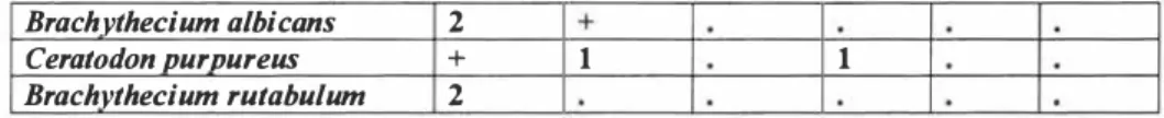 Table 3.  Composition of Sagino-Bryetum communities on ground of 3th - 4th pollution  degrees* in Pauoste  railway station yard in soil:  1 - sand with heavy oil;  2 - crust of  solidified fuel oil; 3 - sand with breakstone