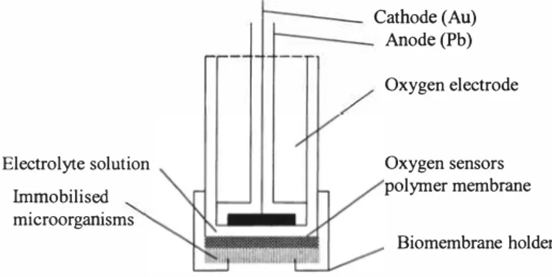 Figure 1. Schematic diagram of designed BOD sensor. 