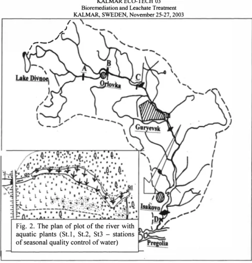 Fig. 2. The plan of plot of the river with  aquatic  plants  (St. I,  St.2,  St3  - stations  of seasonal quality control of water) 