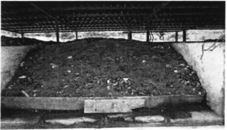 Figure 2. Silos of static and oxygenated forced windrow  3.1.3 System with bio digester 