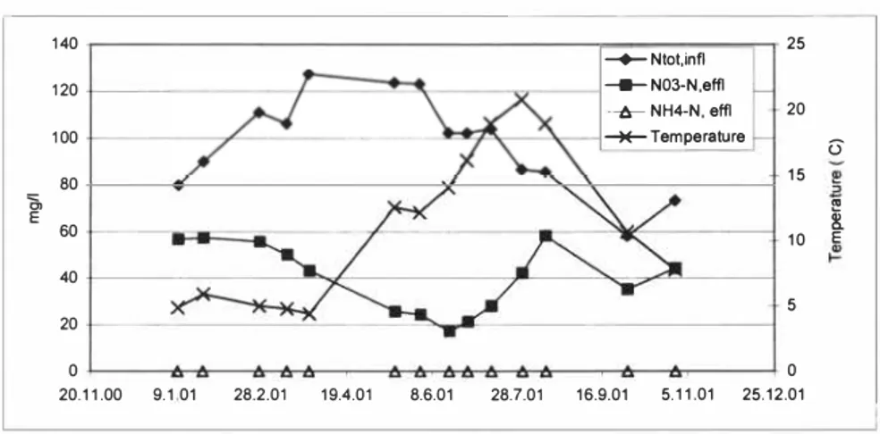 Fig 2.  Time series of some influent and ejj/uent concentrations at the examined full-scale  plant 