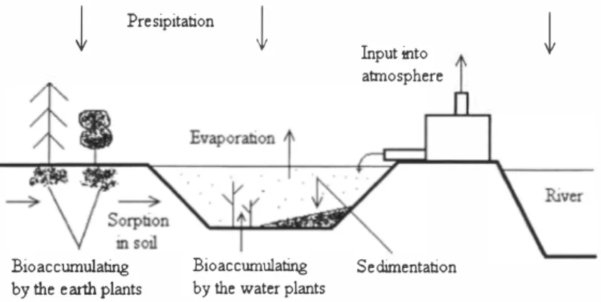 Figure 1.  The scheme of main processes of entering and transformation of pollutants  in different media