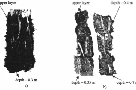 Figure 1. lake reed rootfelt; a) rootfe/t layer in thickness of0.3 m coalescing with ground,  b) floating rootfe/t l aye r in thickness of 0