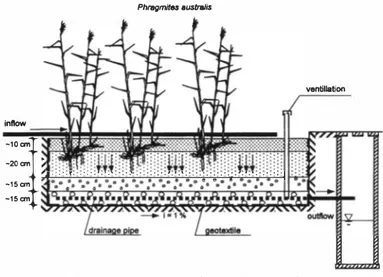 Figure 1. Construction of the vertical reed bed 