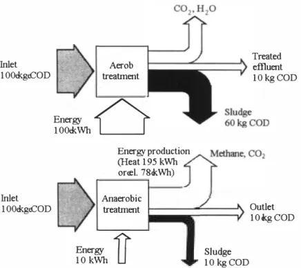 Figure 2 summarizes the many anaerobic designs that are currently in use for full-scale  treatment applications ( Sutton, 1990 )