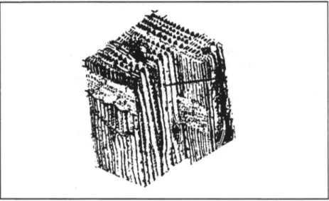 Fig.  2:  A piece of  wood showing the fiberconstruction. 