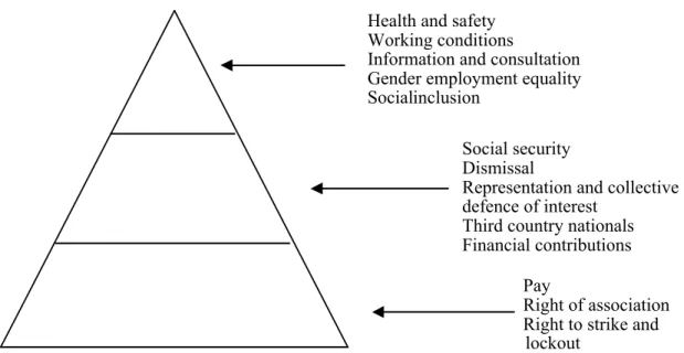 Figure 3. The EU social pyramid (Fitzpatrick 2000, p. 315).