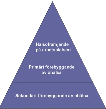 Figur 5. Hälsopyramiden. 13