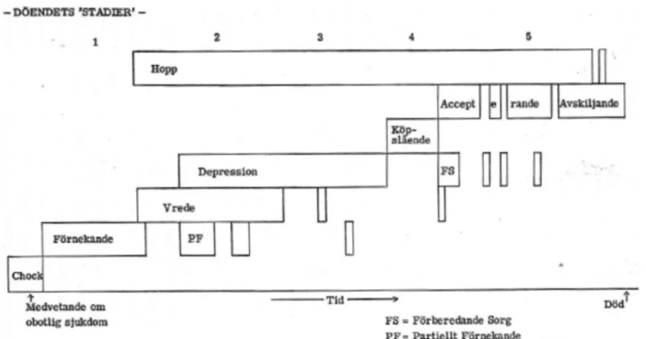 Figur 7. Döendets ”stadier”  Källa: Kübler-Ross 1992: 194 
