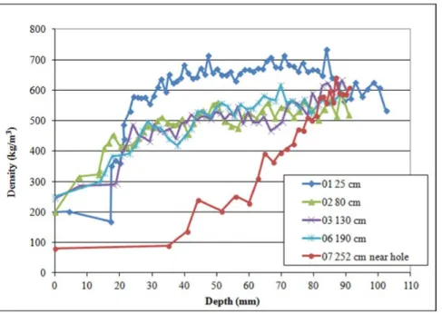 Figure 1. Example of density gradients measured on the figure head. The deeper in the wood (Depth [mm])  the better preserved the wood is as reflected by the increasing density (kg/m3)