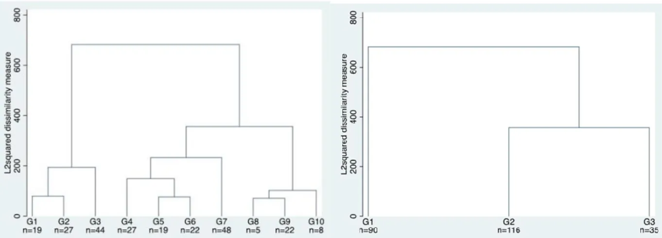Figure  3.  The  dendrogram  obtained  for  the  top  3  branches  of  the  clustering  solution  (right  panel),  as  derived  from  a  10-branch solution (left panel), using Stata