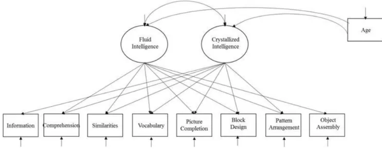 Figure 1. Visual Schematic of the Original Horn and McArdle (1992) Invariance Model. 