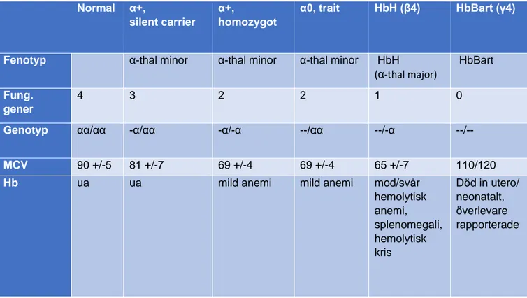 Figur 3: Alfathalassemierna  Normal α+,  silent carrier α+,  homozygot α0, trait HbH (β4) HbBart (γ4)