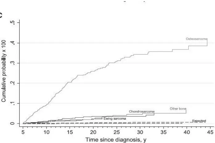 Figure 1. Cumulative probability curves for bone subsequent primary neoplasms (SPNs),  by time since diagnosis