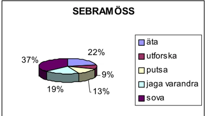 Fig 8. Aktivitet i % under dygnet för sebramöss, utan berikning.