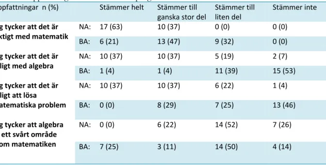 Tabell 3: Uppfattningar fördelade utifrån program. 