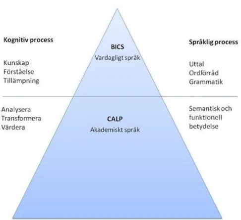 Figur 1. BICS och CALP ”Isbergsmetaforen” (Fritt efter Cummins 2004)