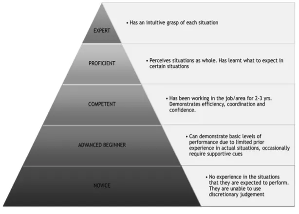 Figur 1: Benner's modell för sjuksköterskans utveckling (Murray et al., 2019).  2.4 Klinisk praxis 