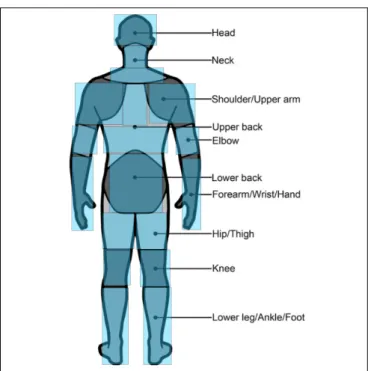 Figure 3. Pain areas scheme, with 18 zones, merged into ten  major body areas inspired by Kuorinka et al