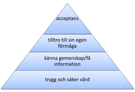 Figur 1: hierarki av anhörigas behov 