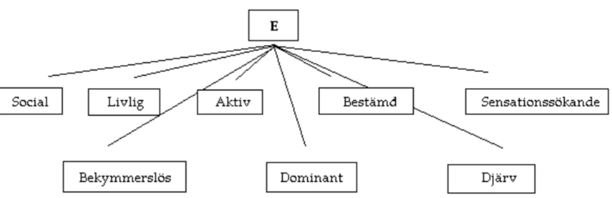 Figur  2.  Relationen  mellan  typ  och  karaktärsdrag  där  E  (extraversion)  är  en  personlighetstyp  bestående  av  med  varandra  korrelerande  karaktärsdrag;  social,  livlig,  aktiv, bestämd, sensationssökande, bekymmerslös, dominant och djärv