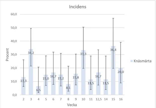Figur 3. Den veckovisa incidensen för knäsmärta under GK Amf. Felmarginalerna i  diagrammet visas med 95% CI enligt felstaplar.