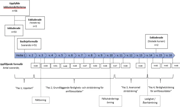 Figur 1: Studiens process samt övergripande faser/övningar under GK Amf (Figuren är  anpassad med tillstånd från Monnier (Monnier et al., 2019))