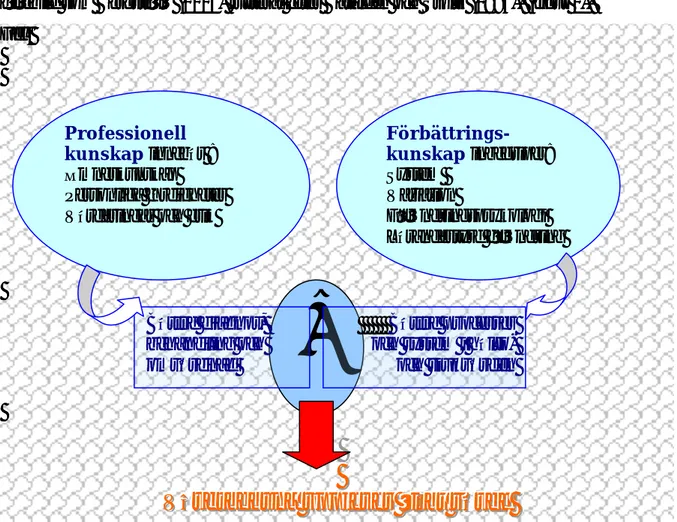 Figur 1. Professionell- och förbättringskunskaps olika komponenter samt de processer som  leder till att vårdtagaren upplever ett ökat värde