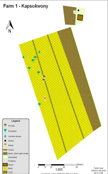 Figure 3: Farm 1 - Kapsokwony