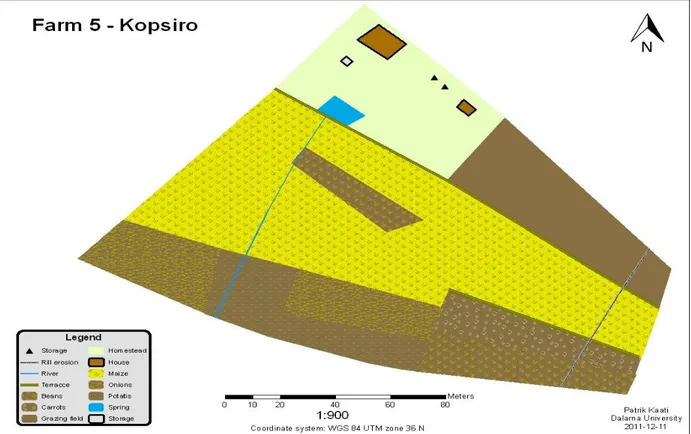 Figure 7: Farm 5 - Kopsiro 