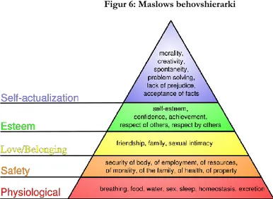 Figur 6: Maslows behovshierarki 