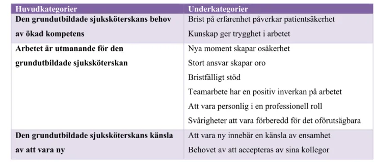 Tabell 4. Översikt av huvudkategorier och underkategorier.  