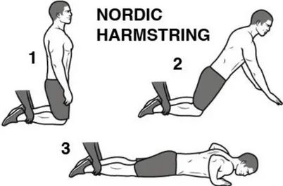 Figur 1. Visar utförandet av övningen Nordic Hamstring.  