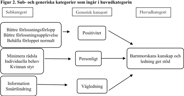 Figur 2. Sub- och generiska kategorier som ingår i huvudkategorin