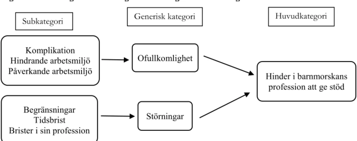 Figur 3. Sub- och generiska kategorier som ingår i huvudkategorin 