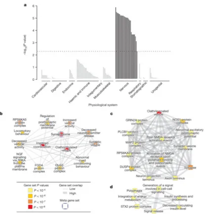 Figure 2. Tissues and reconstituted gene sets significantly enriched for genes within BMI- BMI-associated loci