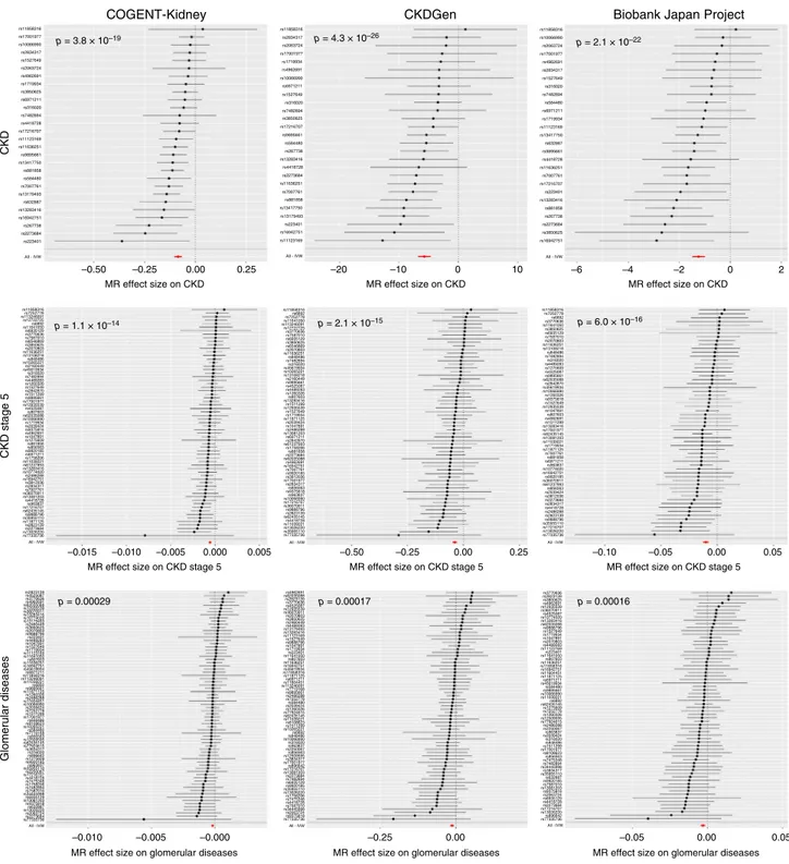 Fig. 2 Two-sample MR of eGFR on CKD and cause-speci ﬁc kidney disease. Results are presented separately for each component of the trans-ethnic meta- meta-analysis for chronic kidney disease (top), chronic kidney disease stage 5 (middle) and glomerular dise