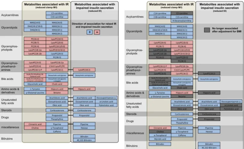 Fig 2. Metabolites associated with IR and impaired insulin secretion without (left panel) and after (right panel) adjustment for BMI