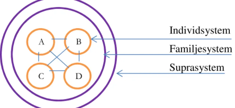 Figur 1 beskriver systemteori genom Calgarymodellen (Wrighet &amp; Leahey, 1998).